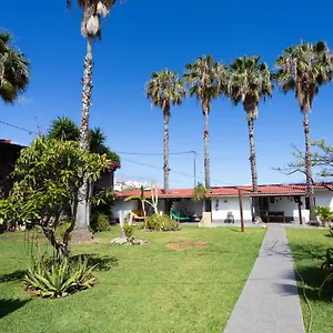 https://finca-la-gaviota-terazza.in-canary-islands.com